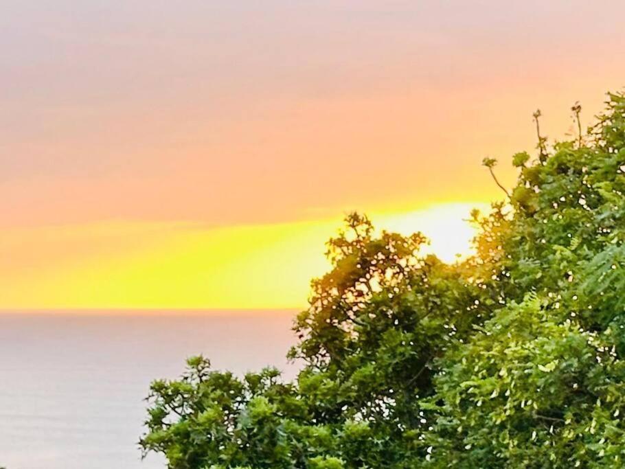 Apartmán Sea View Sun Centre Plettenberg Bay Exteriér fotografie